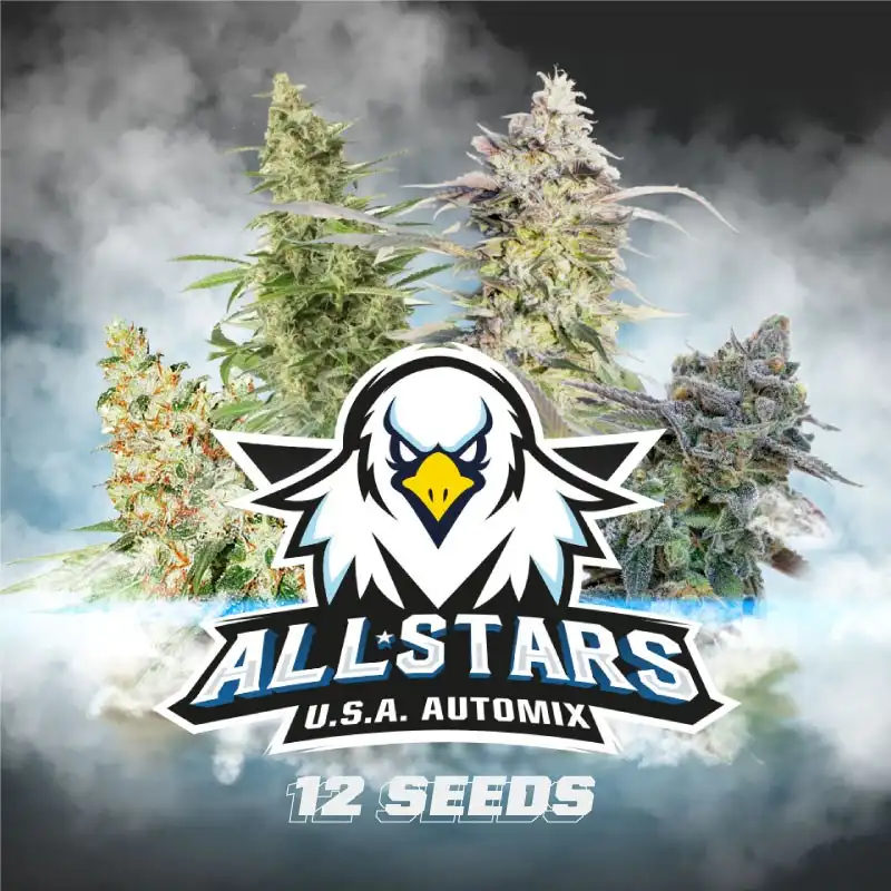All Stars USA Automix x12 – Semillas automáticas mixtas | BSF