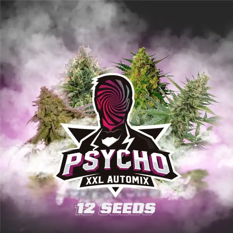 Psycho XXL Automix x12 – Auto vigorosa y diversa | BSF