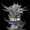 Gorilla Glue Faster x[2/4/7/12] – Semillas feminizadas | BSF