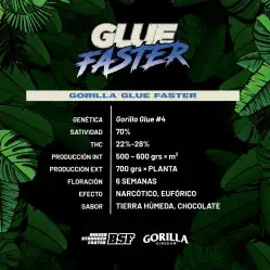 Gorilla Glue Faster x[2/4/7/12] – Semillas feminizadas | BSF