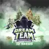 Dream Team Feminized Mix x12 – Semillas feminizadas | BSF