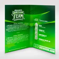 Dream Team Feminized Mix x12 – Semillas feminizadas | BSF