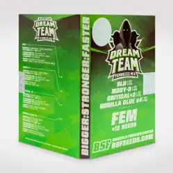 Dream Team Feminized Mix x12 – Semillas feminizadas | BSF