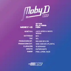 Moby D x[2/4/7/12] – Semillas feminizadas | BSF