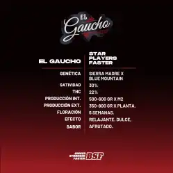 El Gaucho x[2/4/7/12] – Semillas feminizadas | BSF