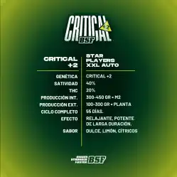 Critical +2 XXL Auto x[2/4/7/12] – Semillas automáticas | BSF