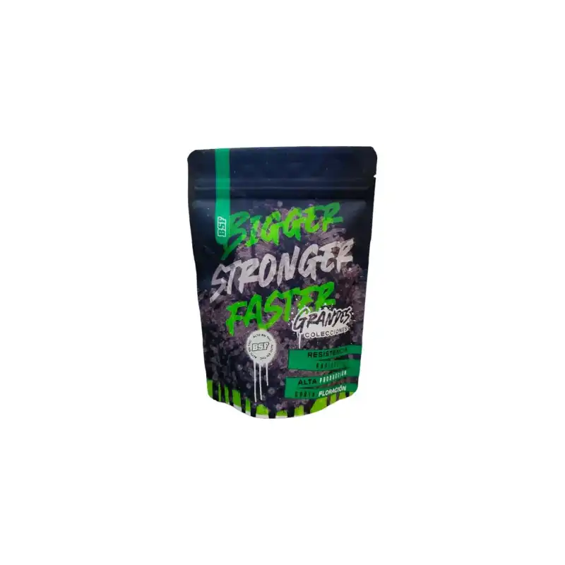 Grow Op BSF Seeds